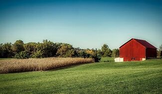 Say What You Mean: Don’t Bet the Farm on Imprecise Language